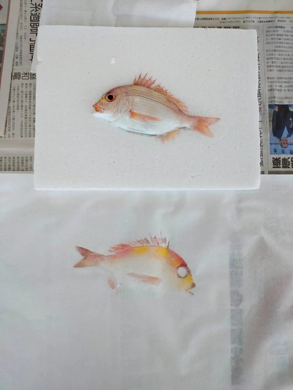 活動照片 28