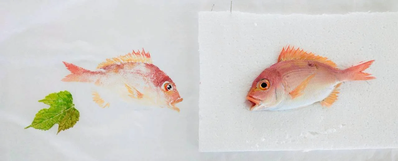 活動照片 39
