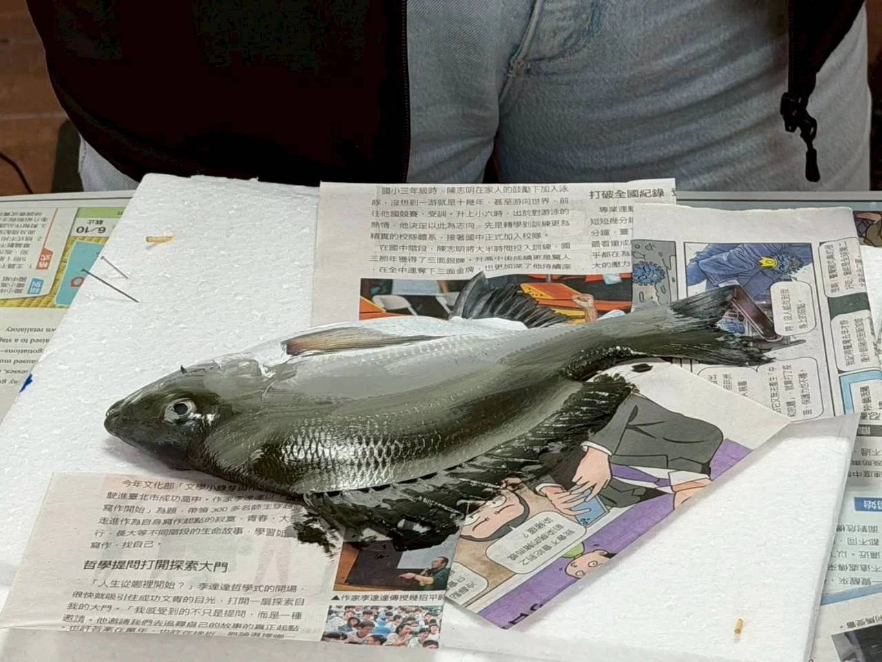 活動照片 40