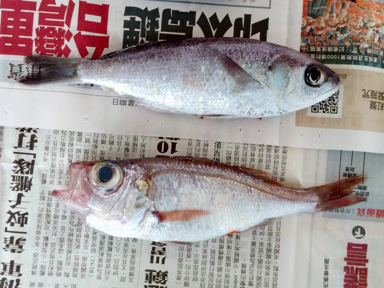 活動照片 01