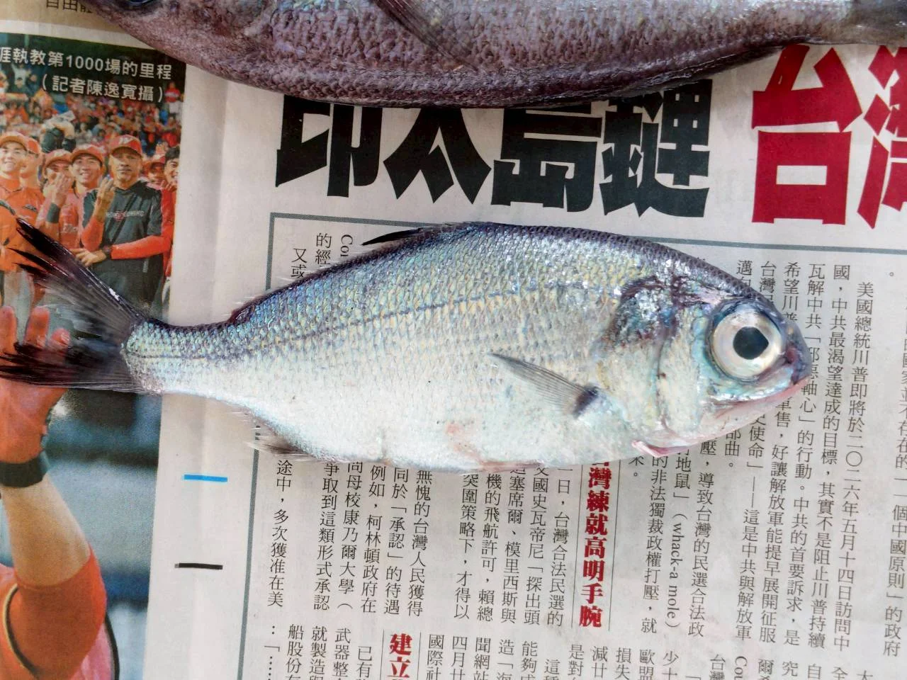 活動照片 02