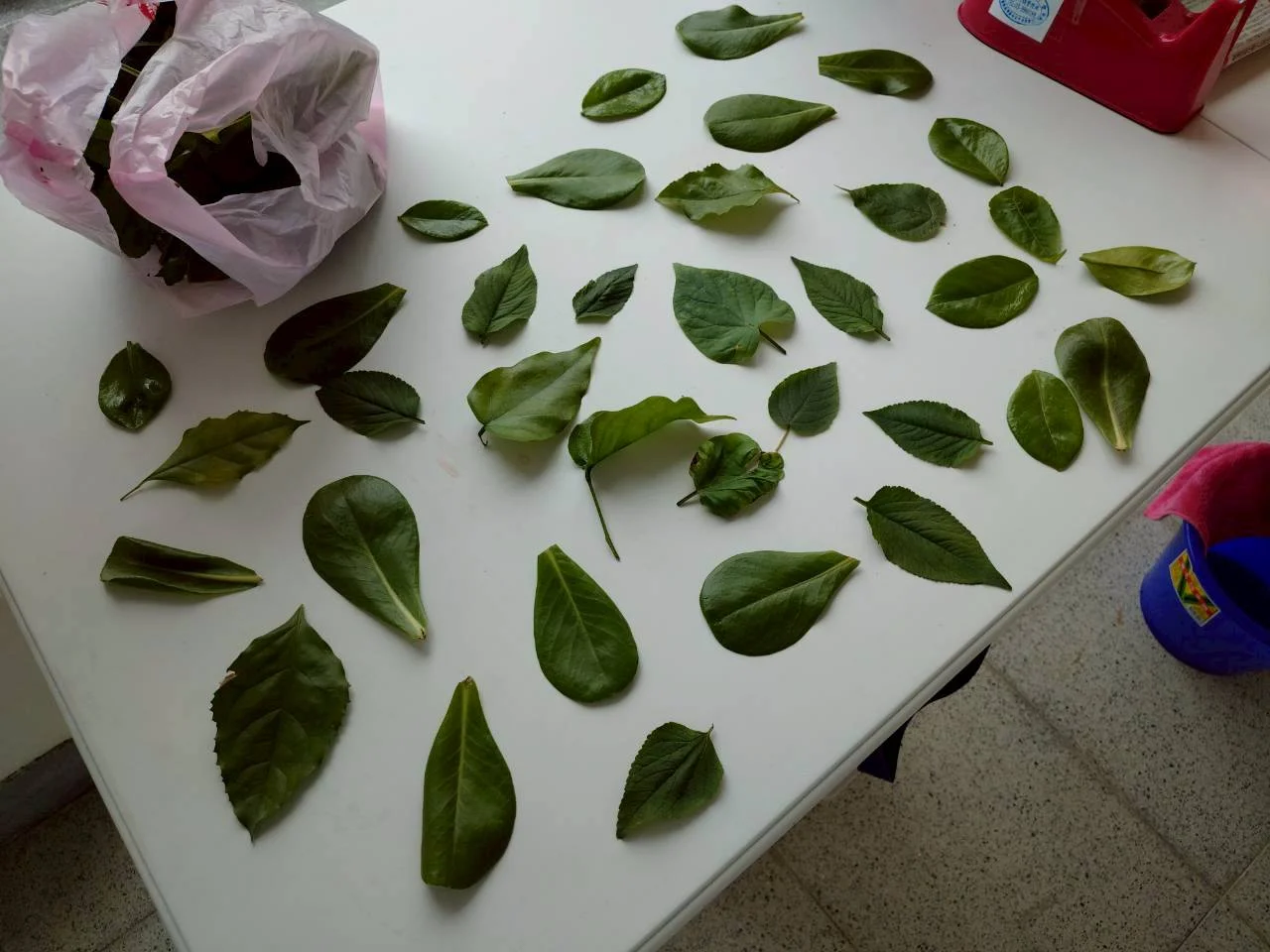 活動照片 04