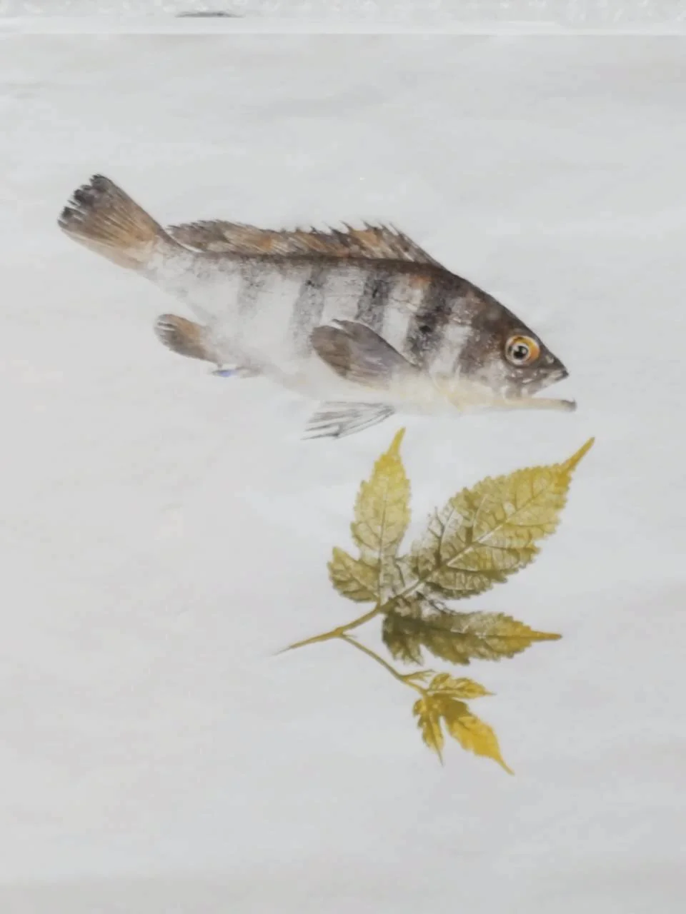 活動照片 01