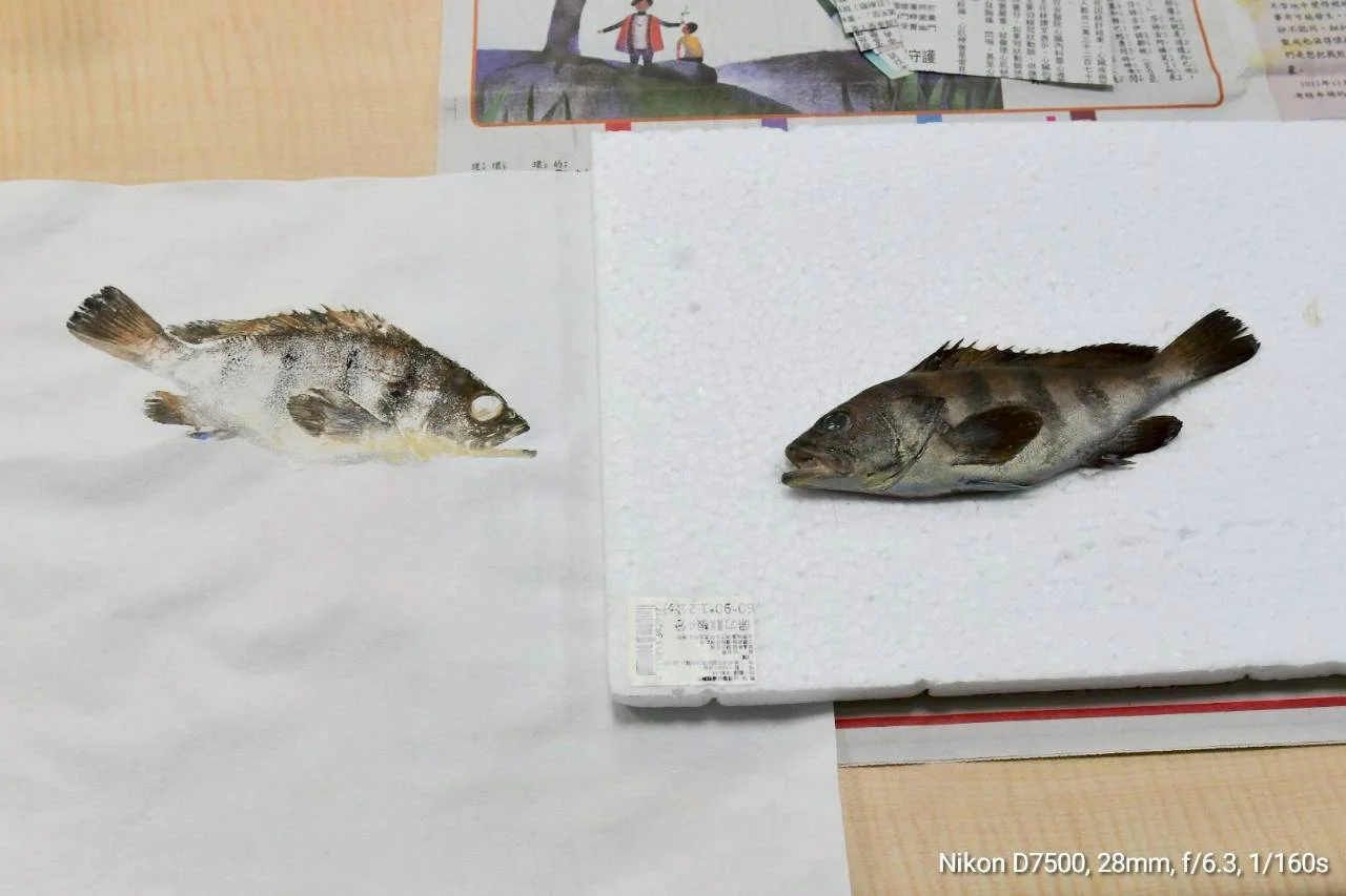 活動照片 52