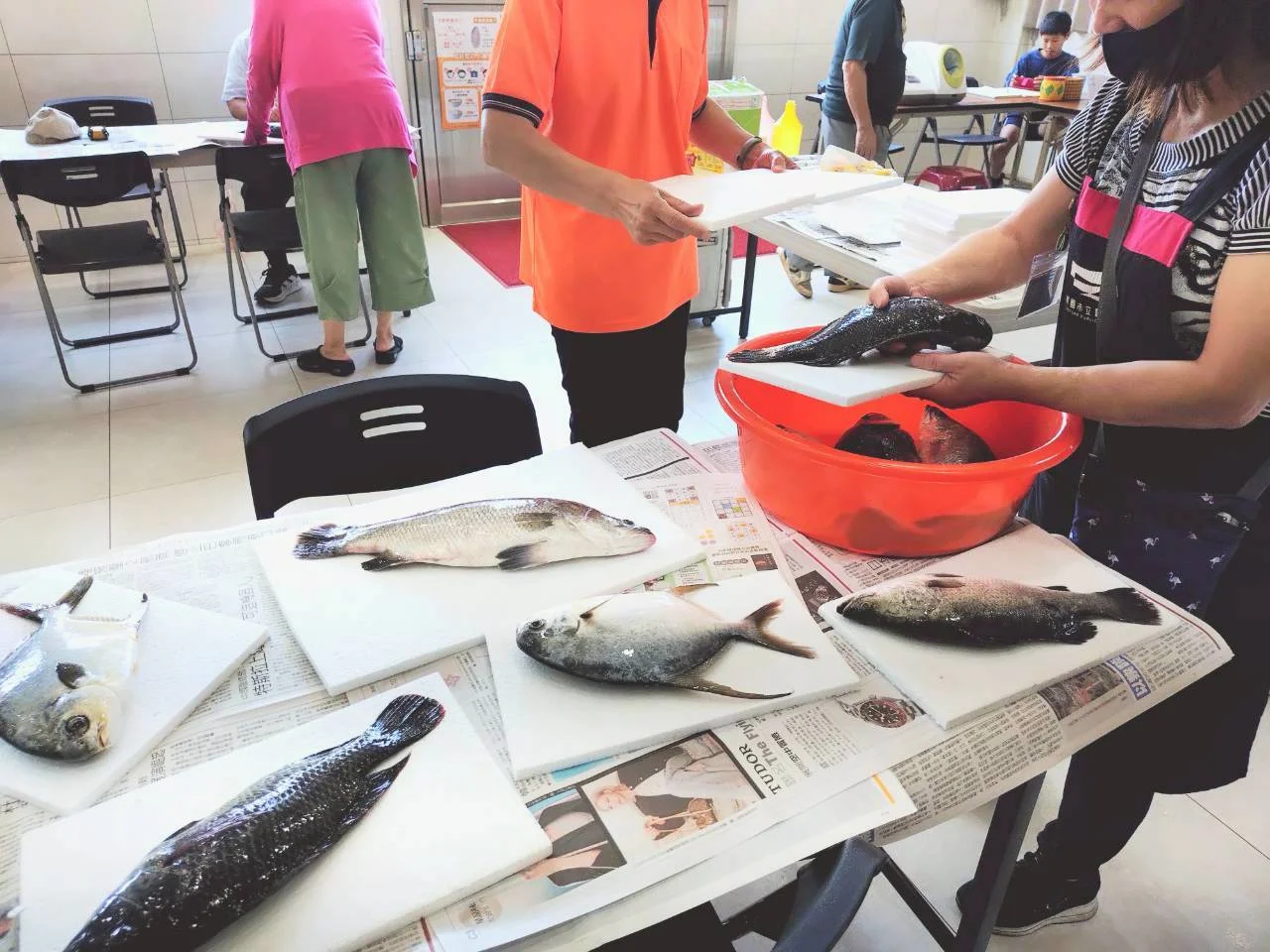 桃園圖書館大園分館 海洋閱讀魚拓體驗
