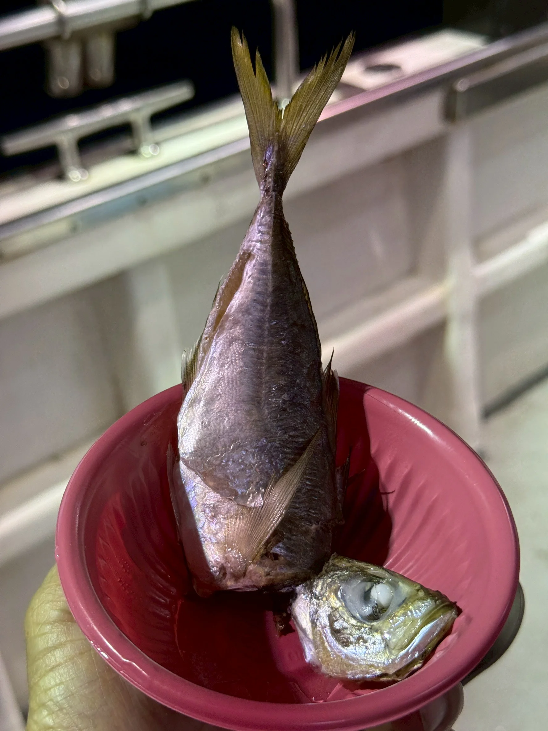 活動照片 120