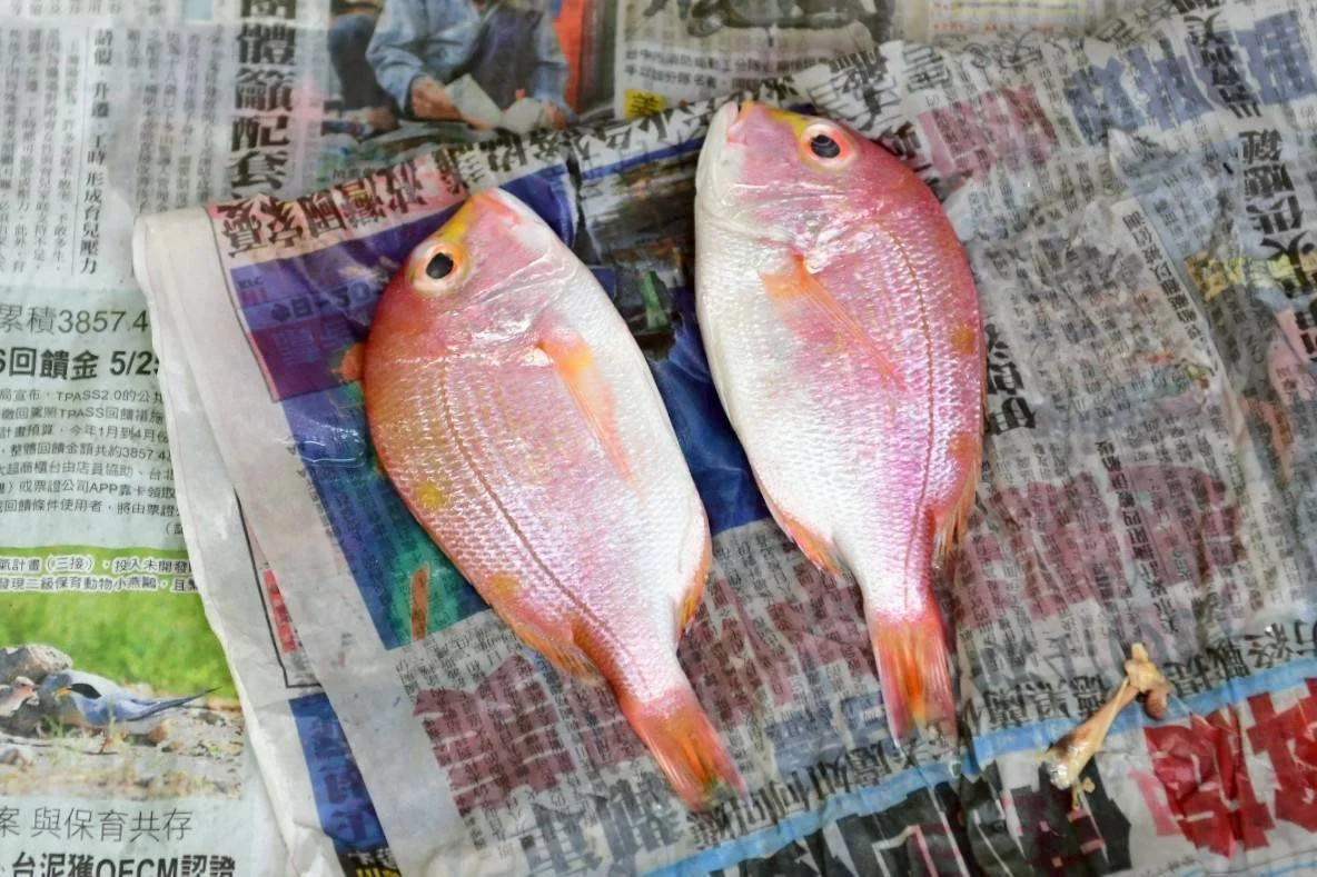 活動照片 75